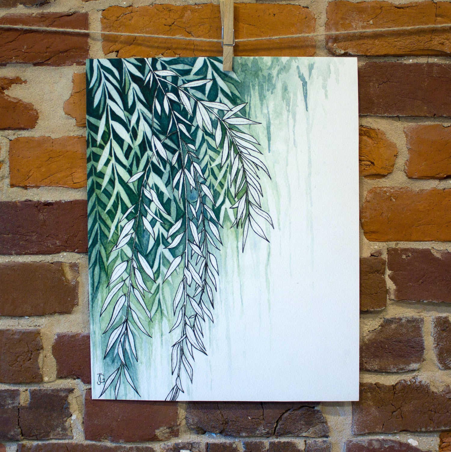 botanical watercolor prints