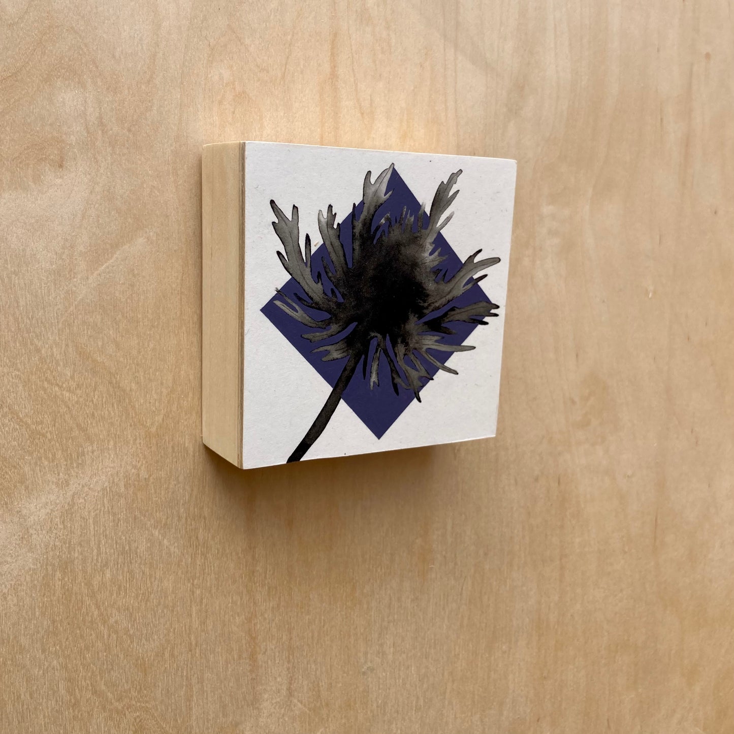 mini thistle shadow
