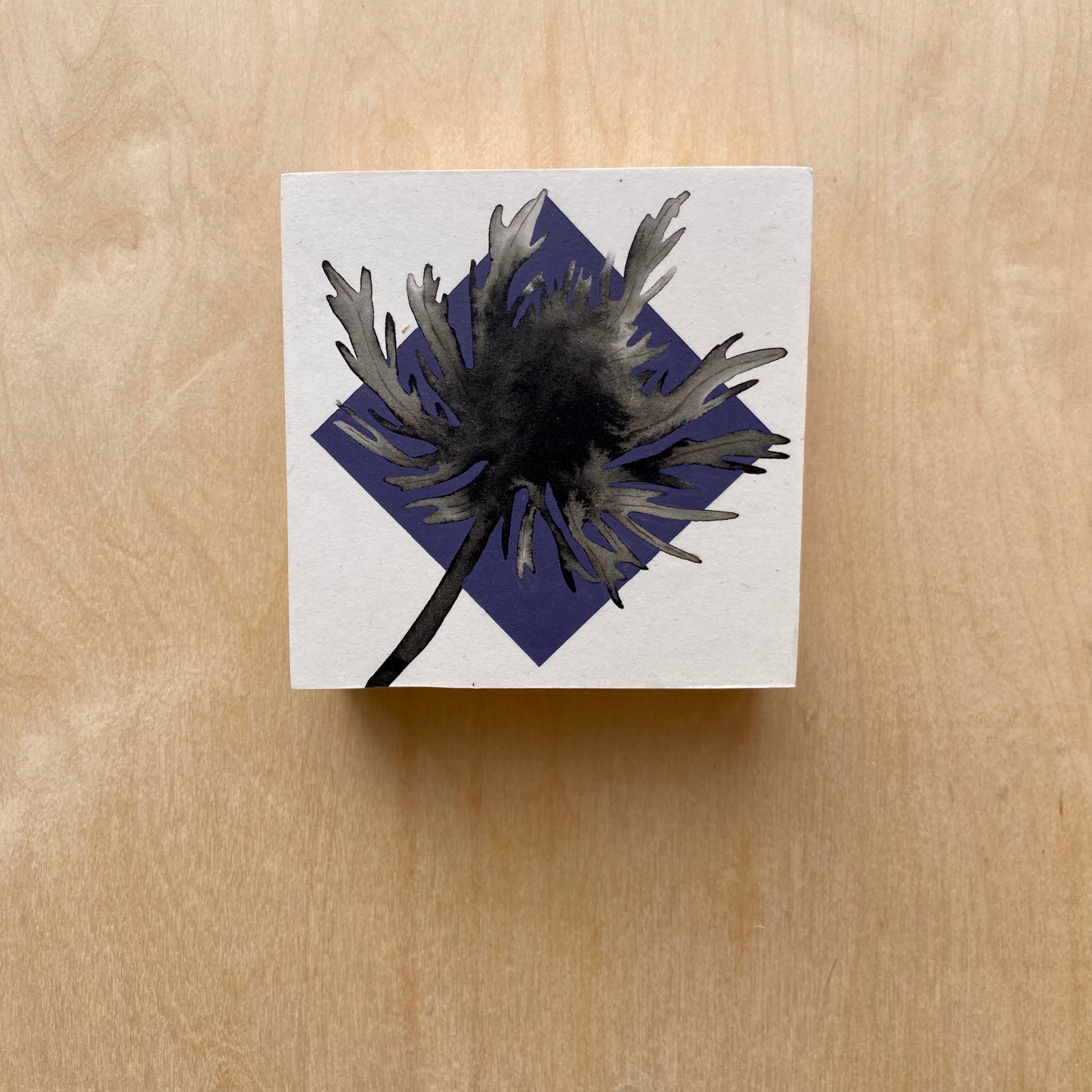 mini thistle shadow