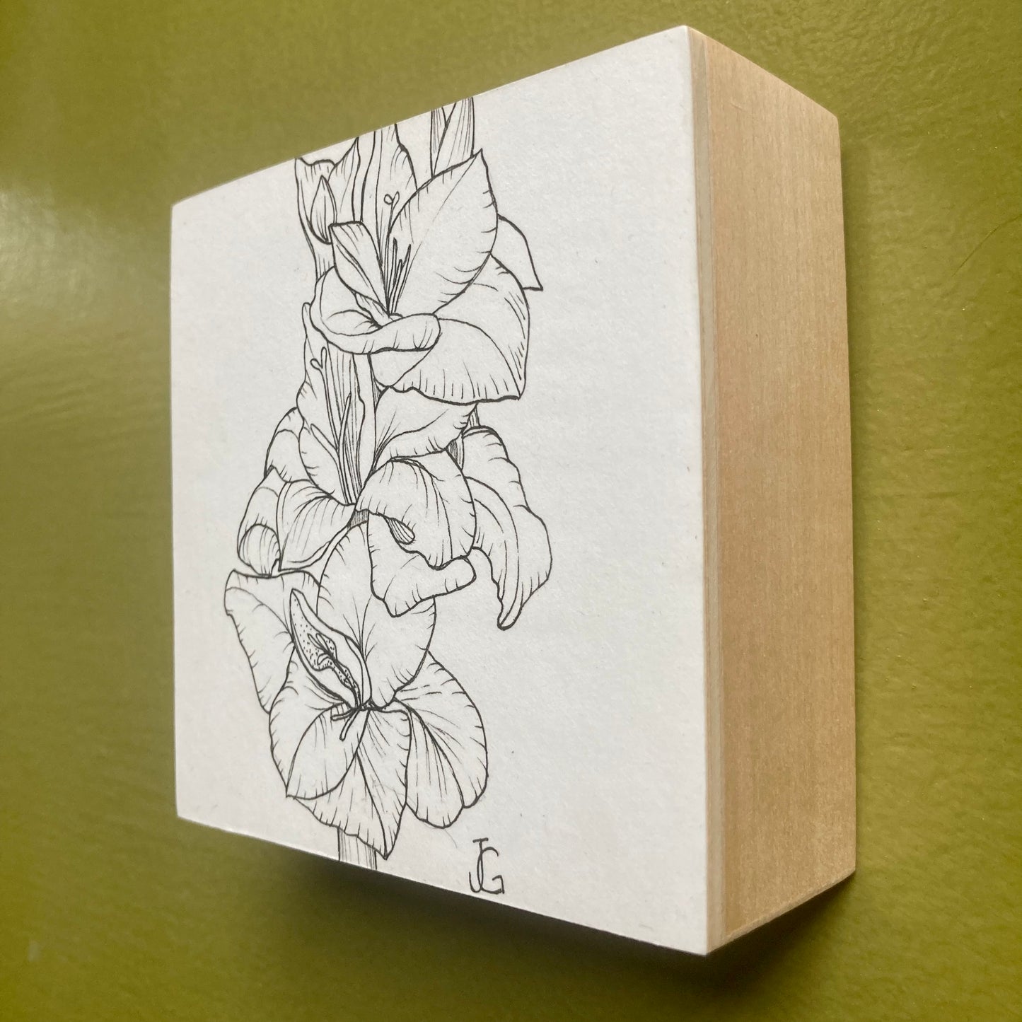 gladiolus - august birth month flower original drawing