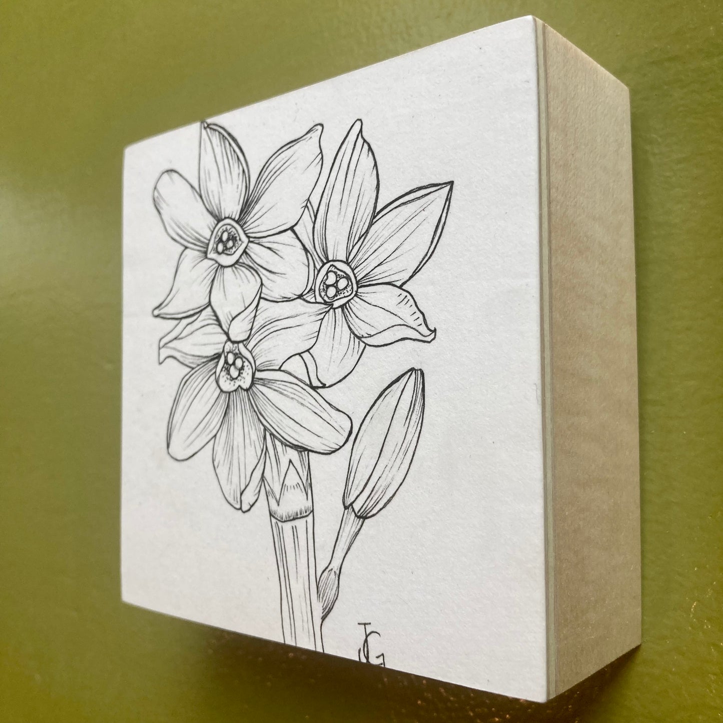 narcissus - december birth month flower original drawing