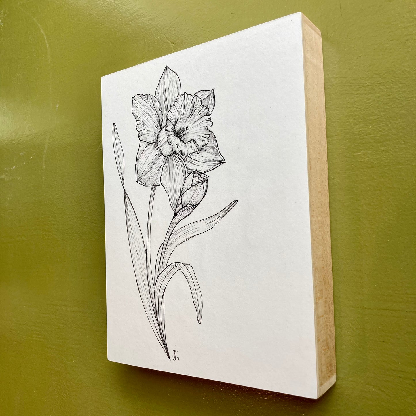 daffodil original drawing