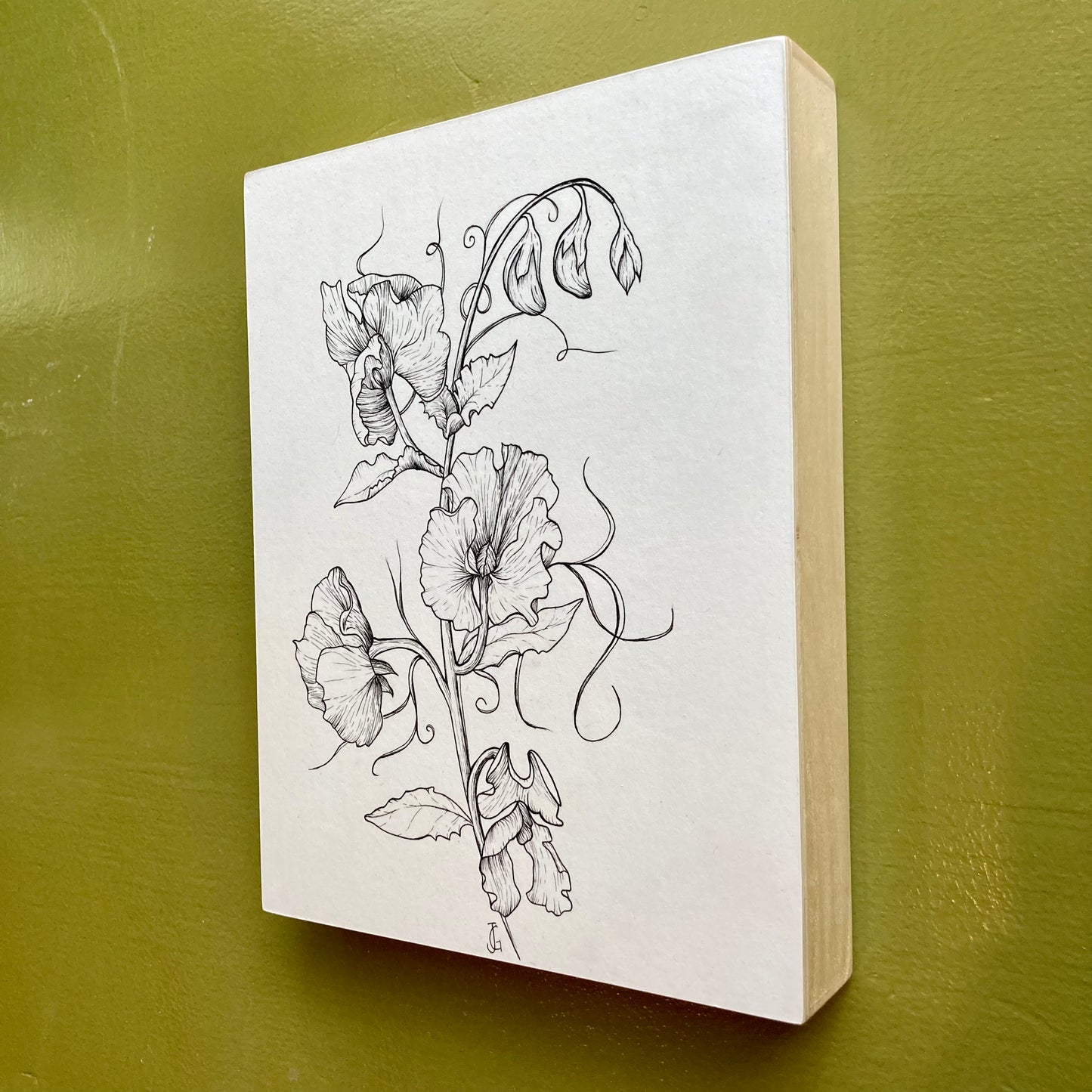 sweet pea original drawing