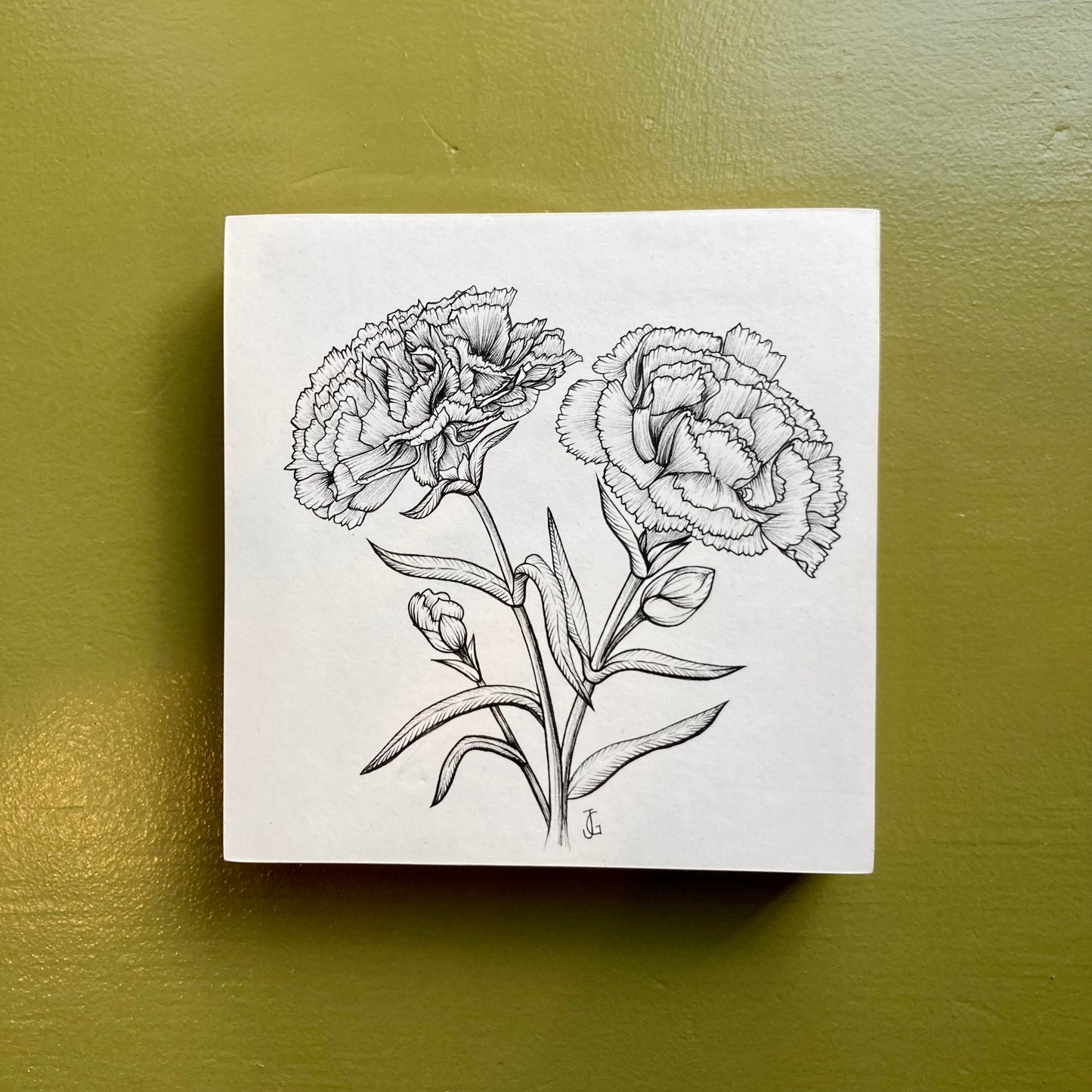 carnation original drawing