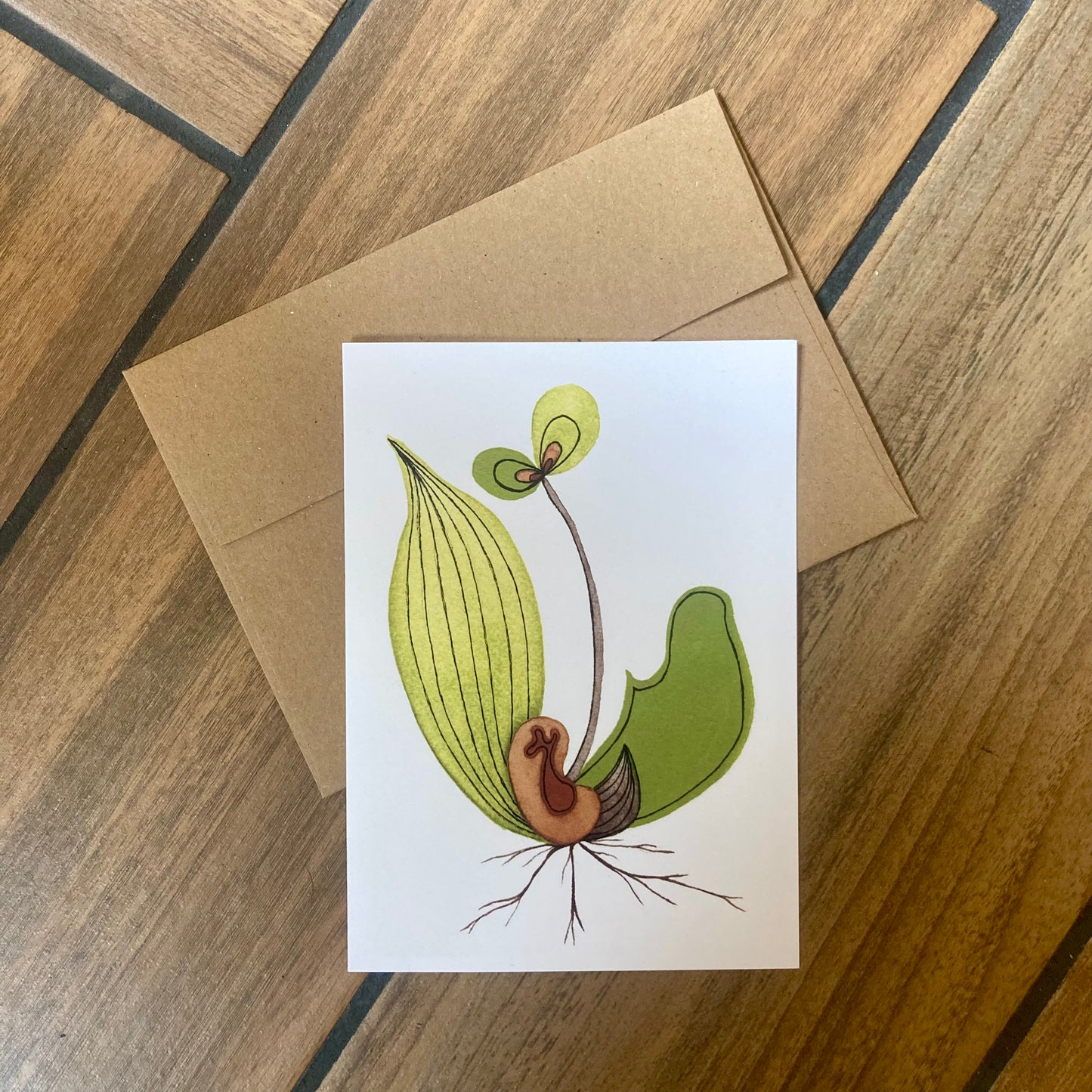 seedlings - blank cards with envelope - 3 pack