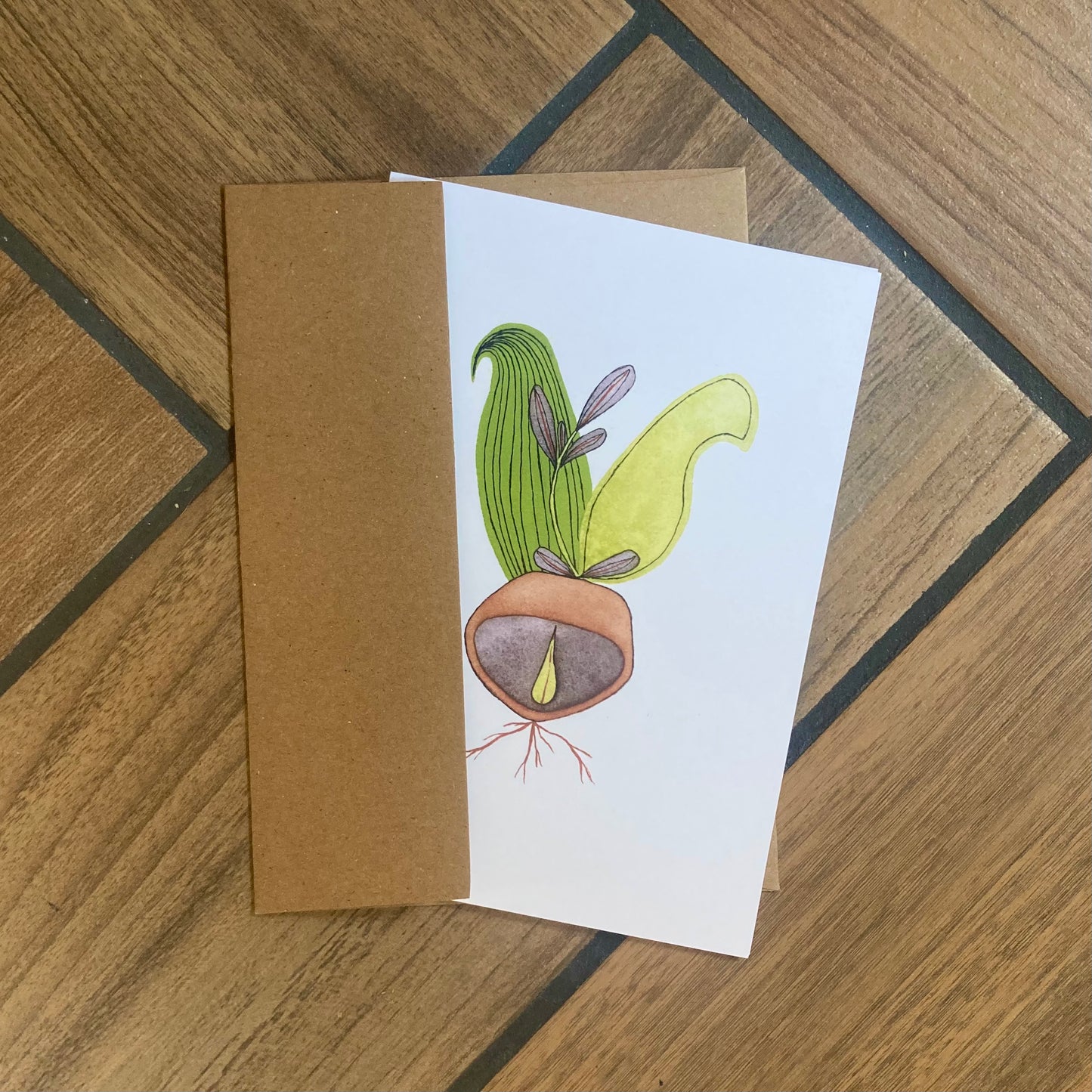 seedlings - blank cards with envelope - 3 pack
