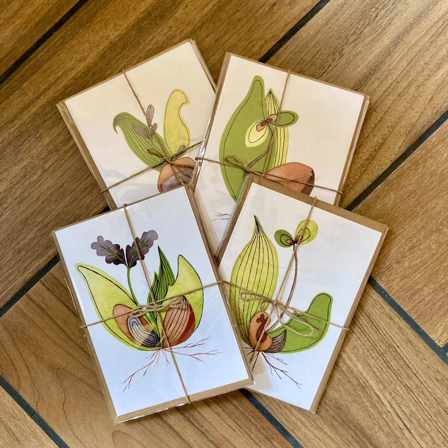 seedlings - blank cards with envelope - 3 pack