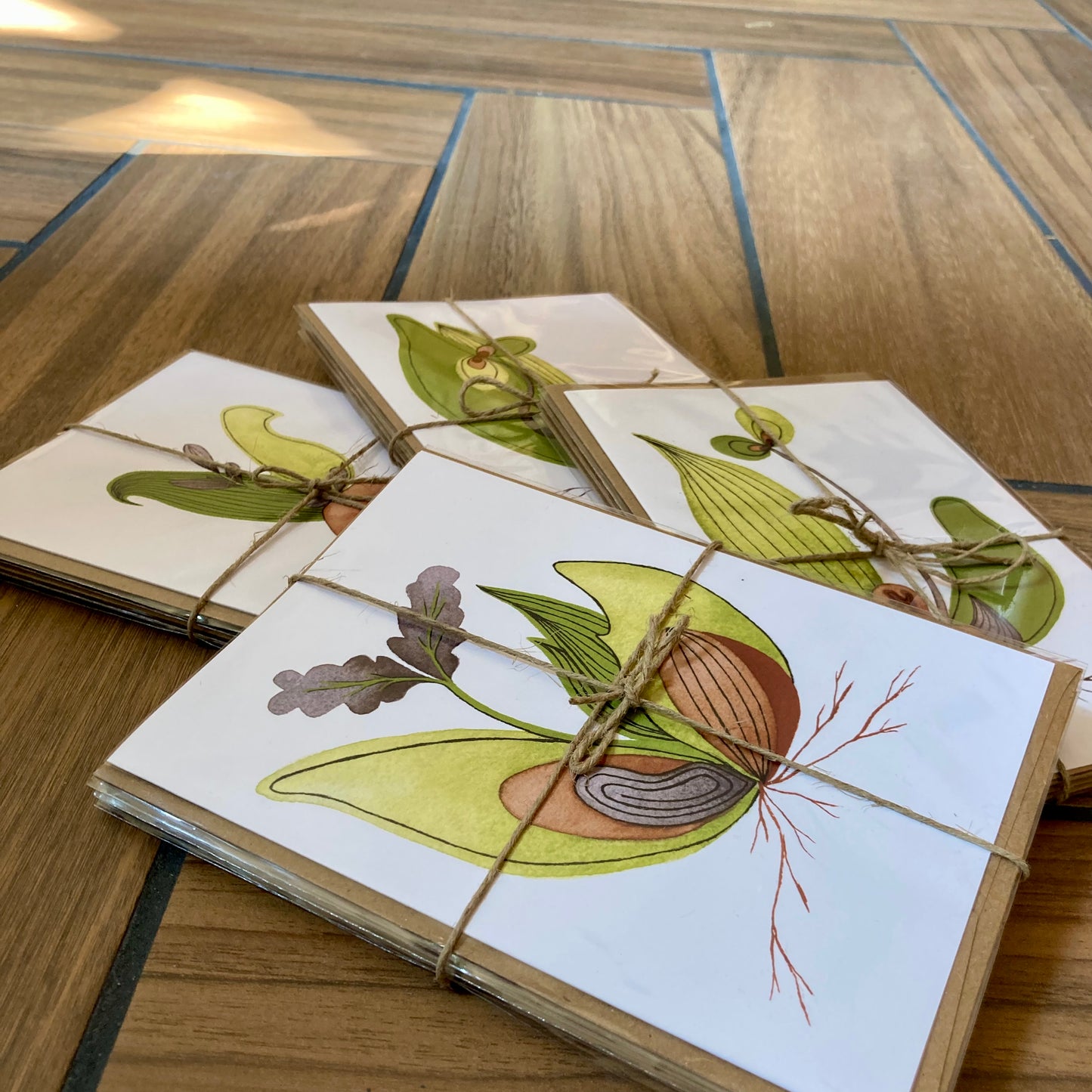 seedlings - blank cards with envelope - 3 pack