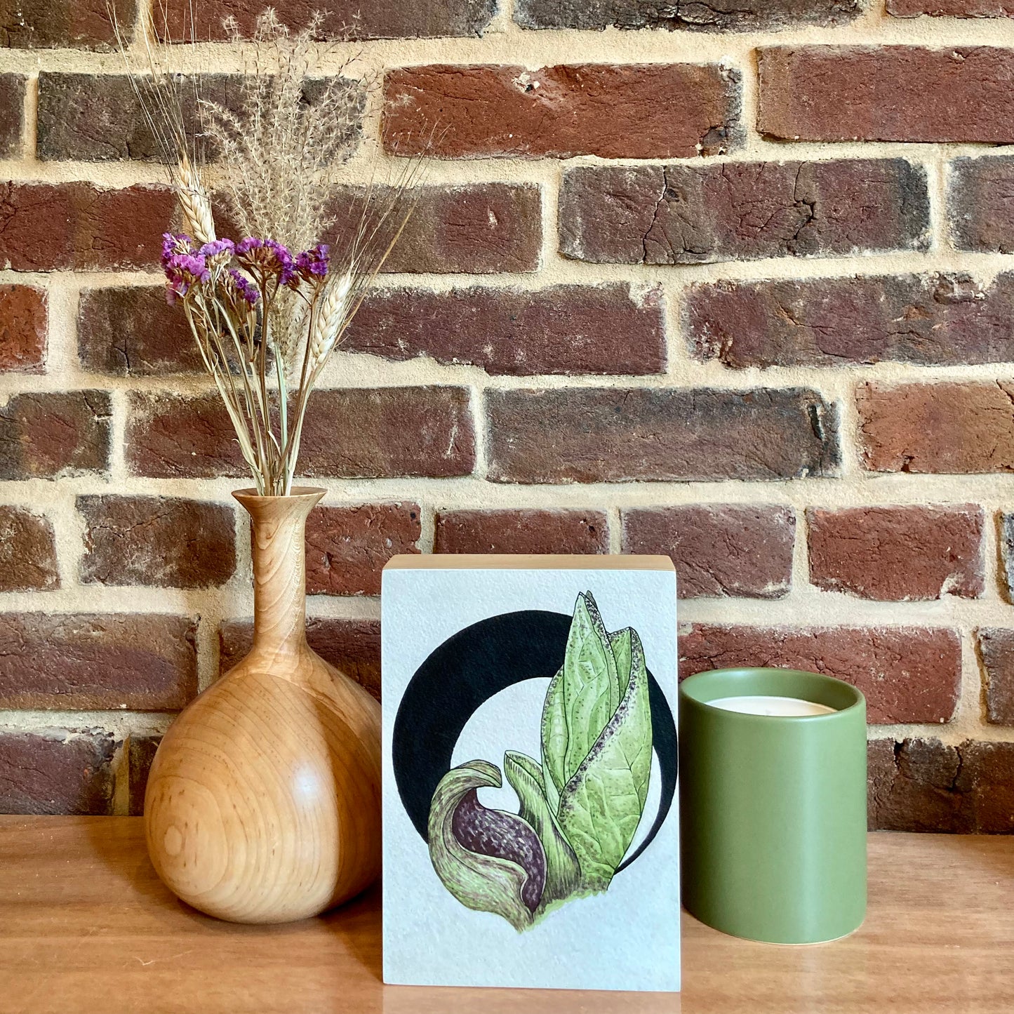 skunk cabbage botanical painting