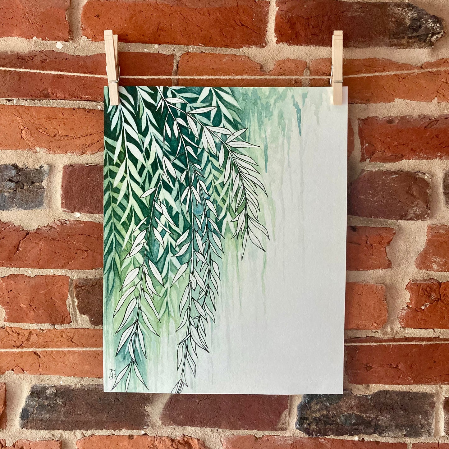 willow tree on a rainy night