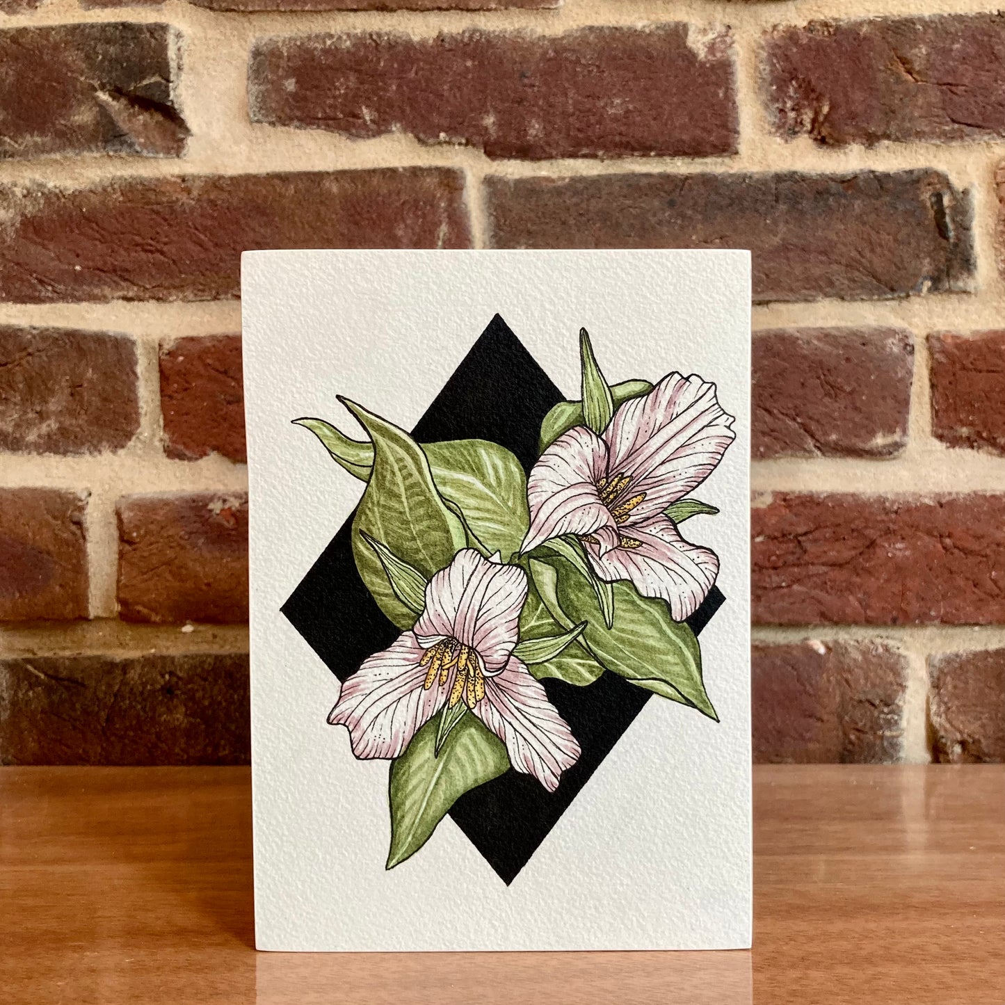 white trilluim botanical painting
