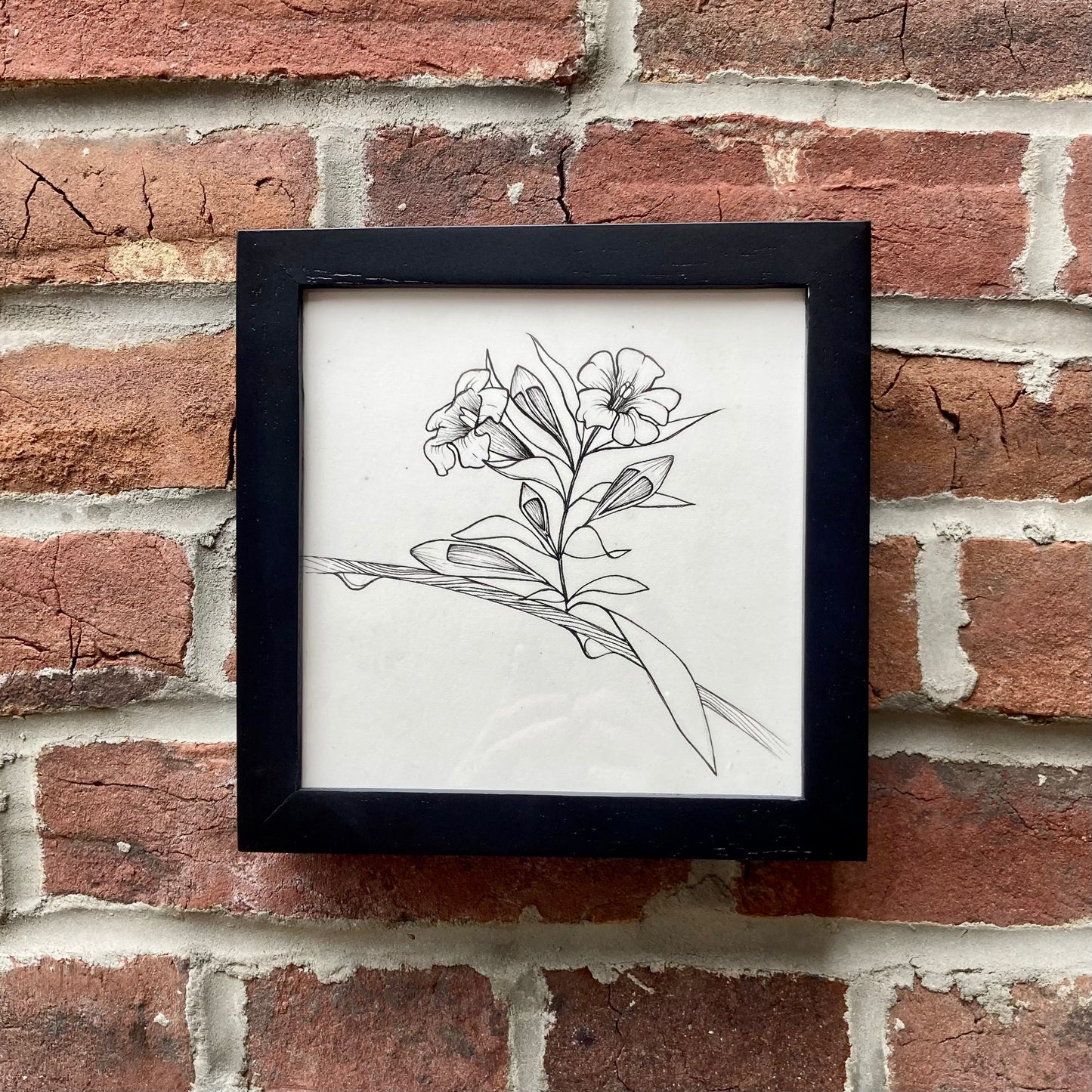 jessamine original drawing - framed