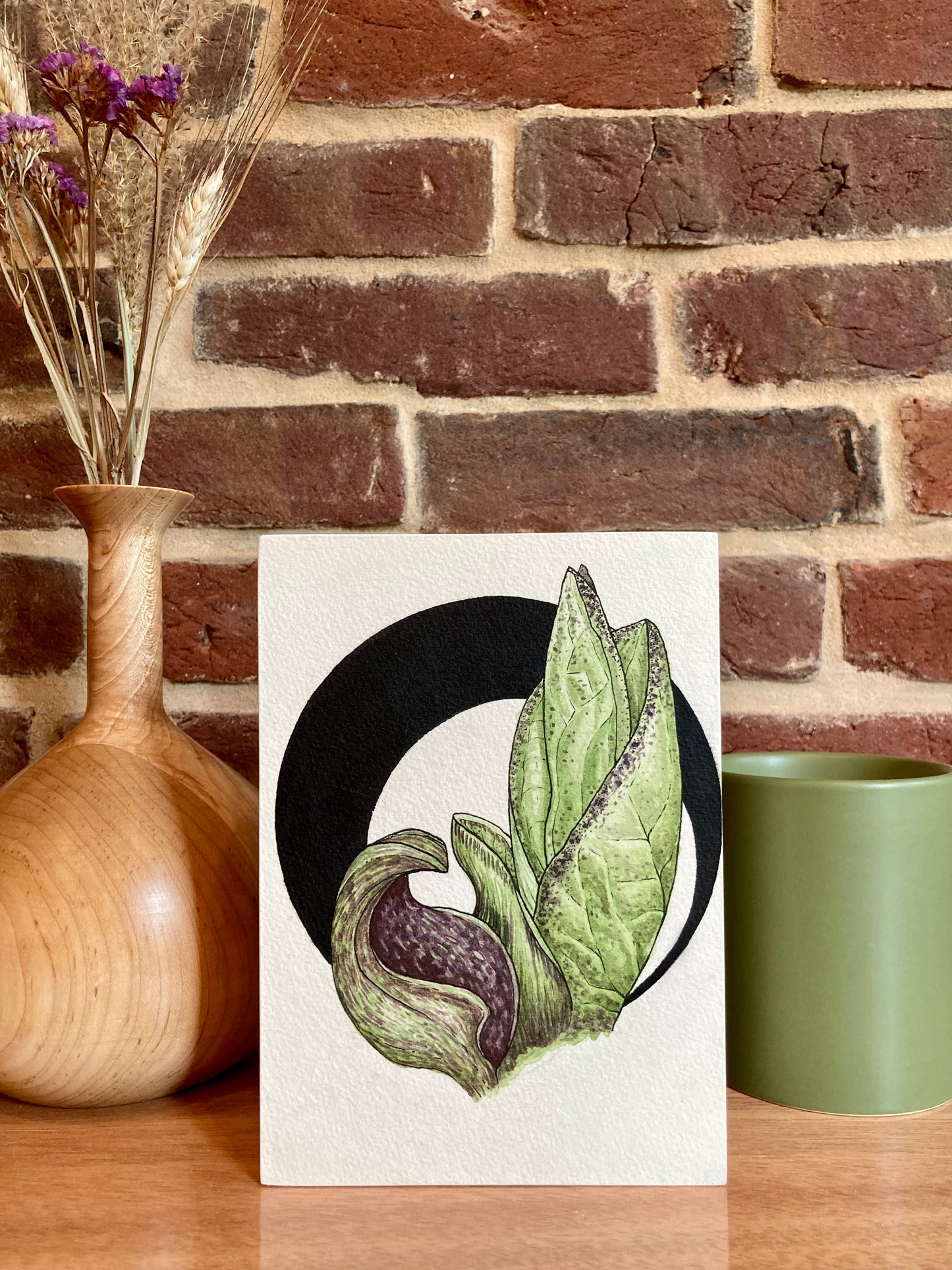 skunk cabbage botanical painting