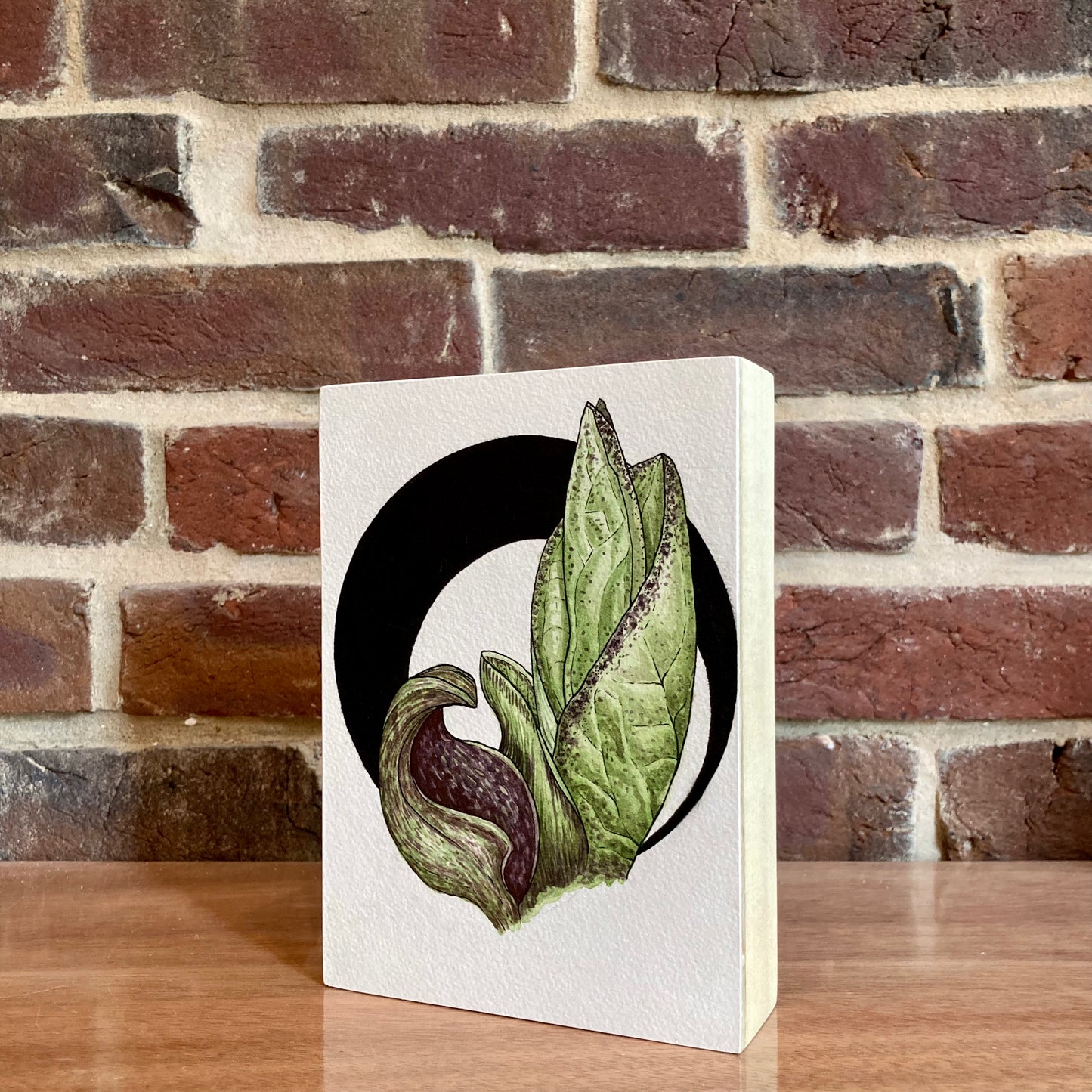 skunk cabbage botanical painting