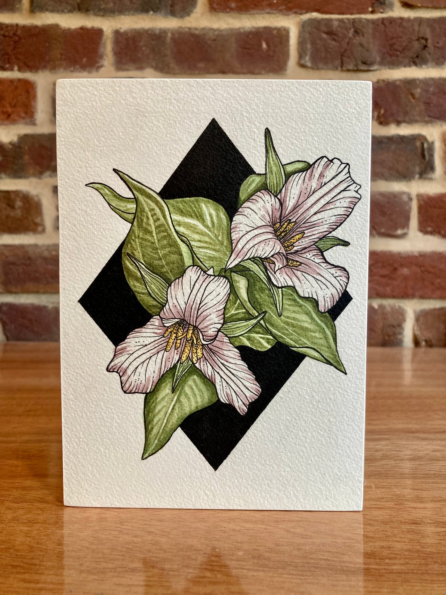 white trilluim botanical painting