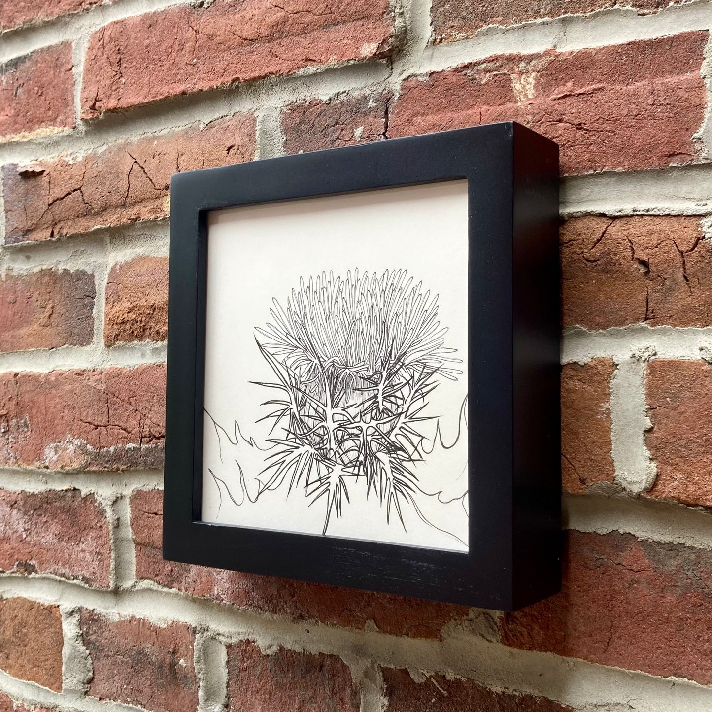 birdlime thistle original drawing - framed