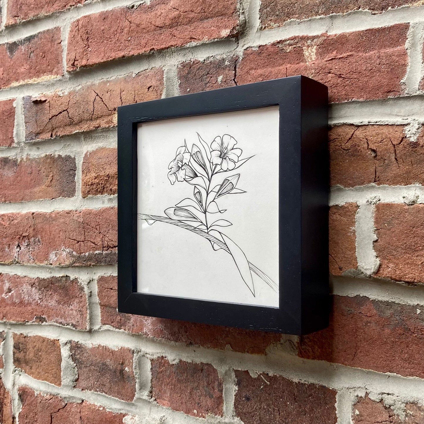 jessamine original drawing - framed