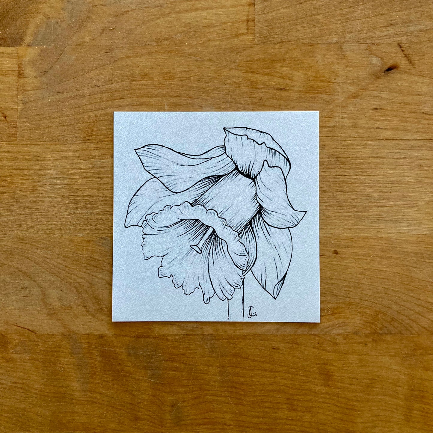 4" x 4" birth month flower prints