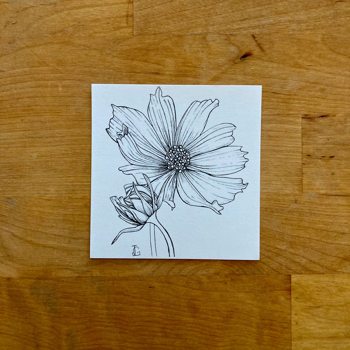 4" x 4" birth month flower prints
