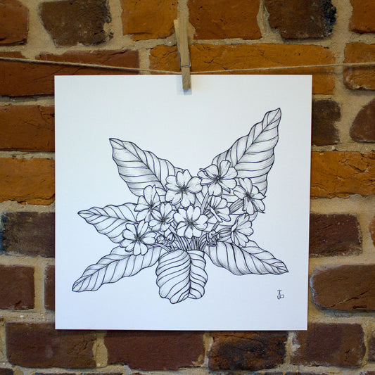 ink drawing primrose