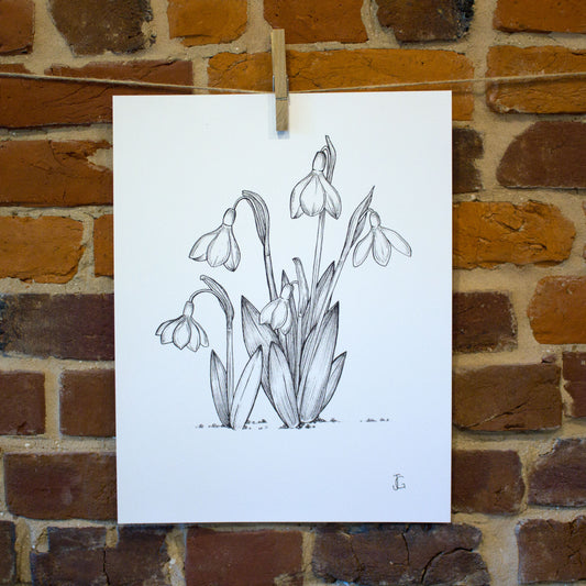 ink drawing snow drop