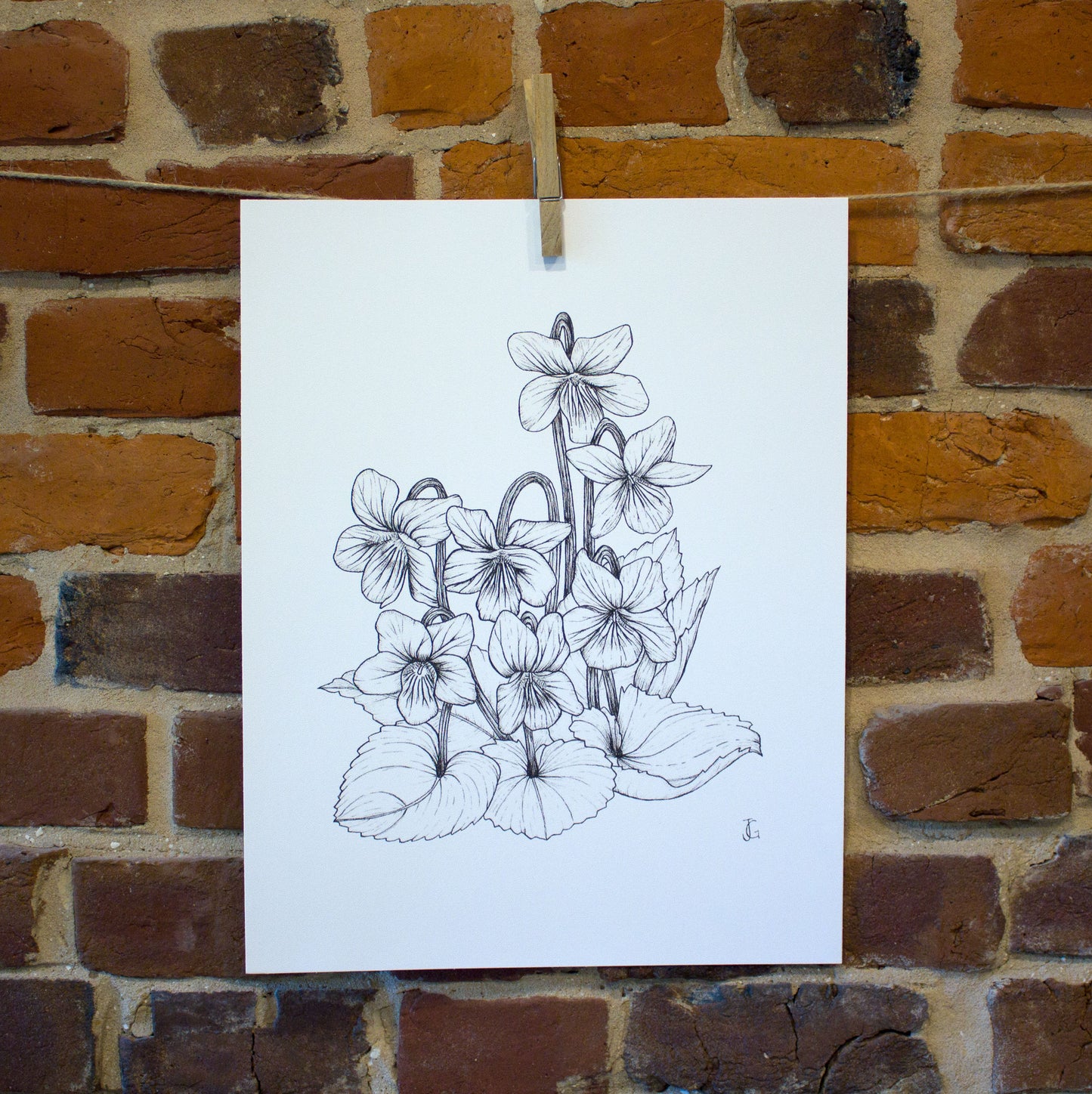 ink drawing violets