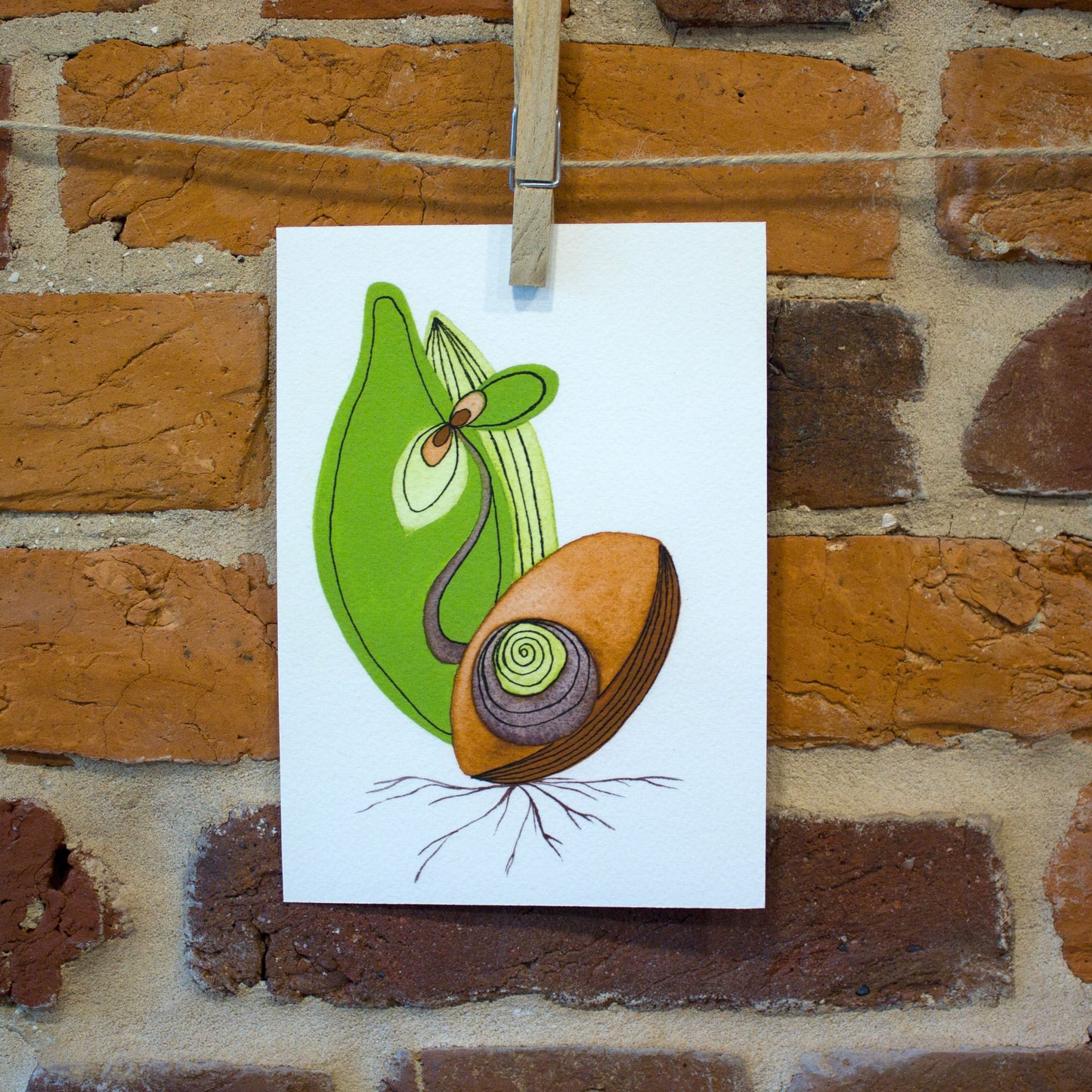 seedling ii