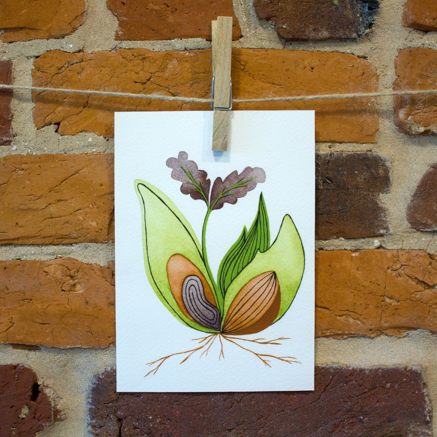 seedling iv