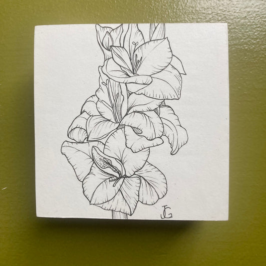 gladiolus - august birth month flower original drawing