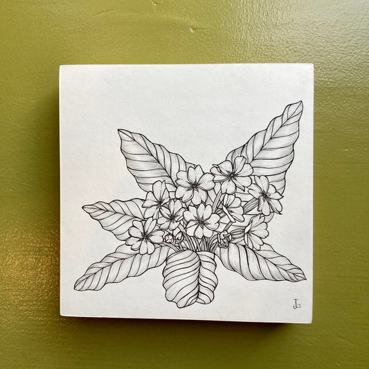 primrose original drawing