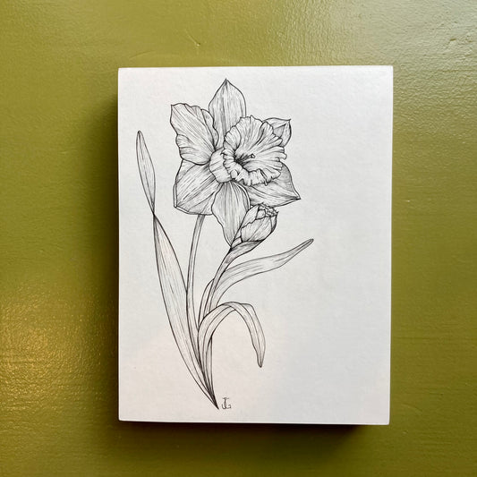 daffodil original drawing