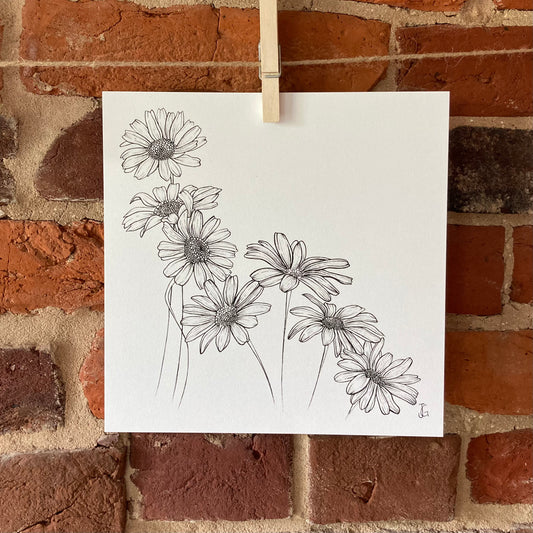 ink drawing daisies