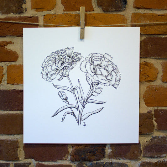 ink drawing carnation