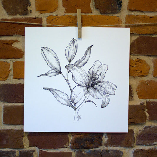 ink drawing day lily